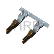 gold plated male terminals T9920PS